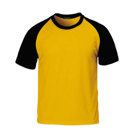 Men Gym T Shirts